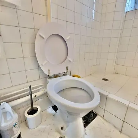 *tres Beau T2 En Plein Hypercentre * غرونوبل