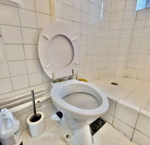 *tres Beau T2 En Plein Hypercentre * Grenoble